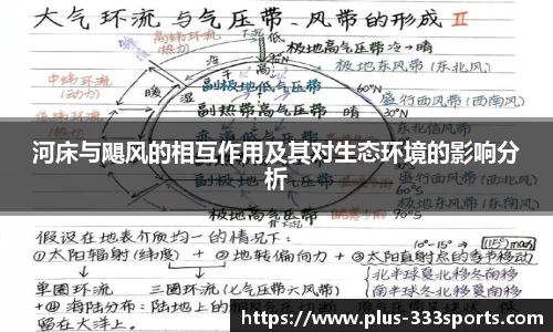 333体育平台